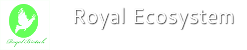 Royal Eco Org - WEEE recycle